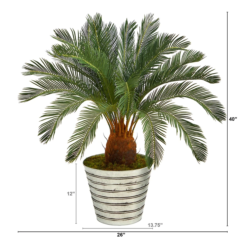 3.5ft. Cycas Tree in Decorative Tin Bucket