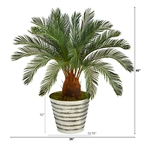 3.5ft. Cycas Tree in Decorative Tin Bucket