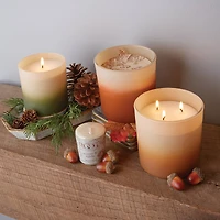 Root Candles Leaves & Cashmere 3-Wick Scented Beeswax Blend Candle