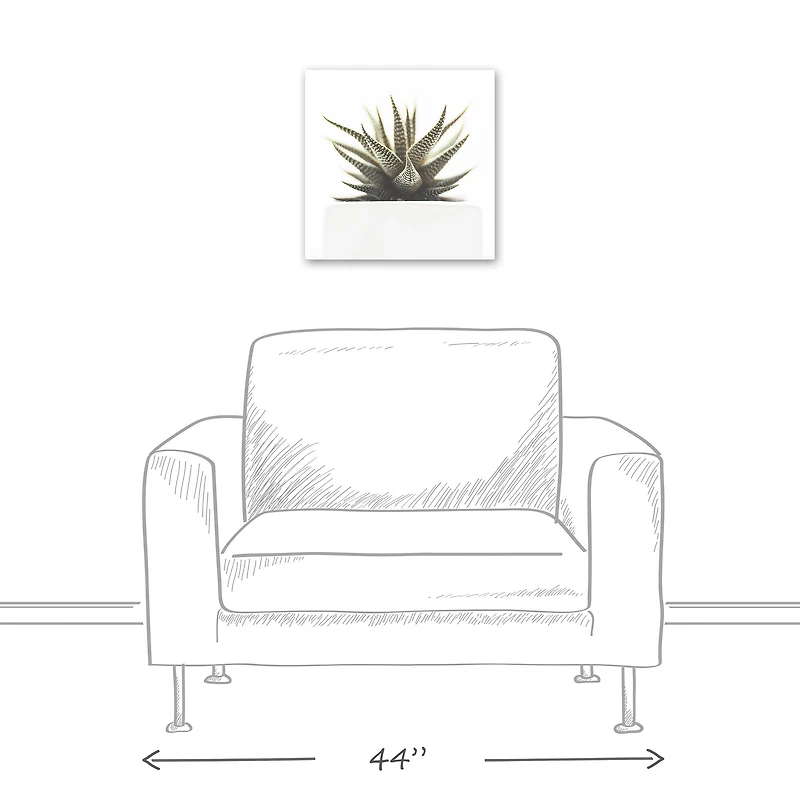 Designs Direct Aloe Plant Canvas Wall Art