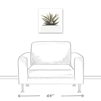 Designs Direct Aloe Plant Canvas Wall Art