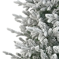 7.5ft. Pre-Lit Boulderwood Spruce Artificial Christmas Tree, Clear Lights