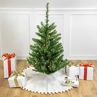 3ft. Pre-Lit Canadian Pine Artificial Christmas Tree, Clear & White LED Lights