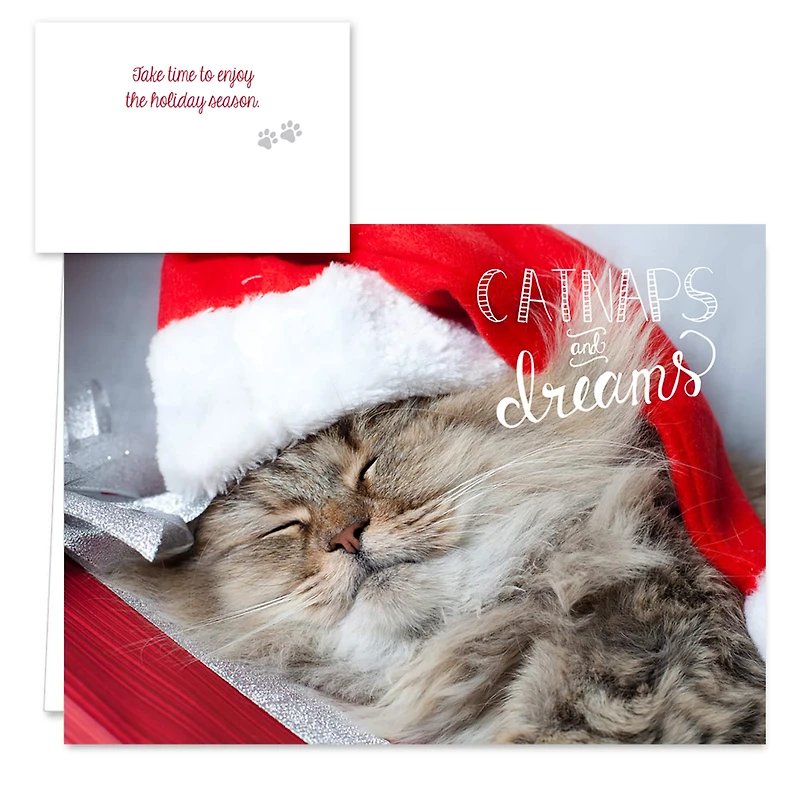 Hortense B. Hewitt Co. Christmas Cats Holiday Cards