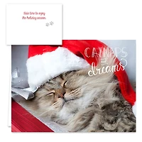 Hortense B. Hewitt Co. Christmas Cats Holiday Cards