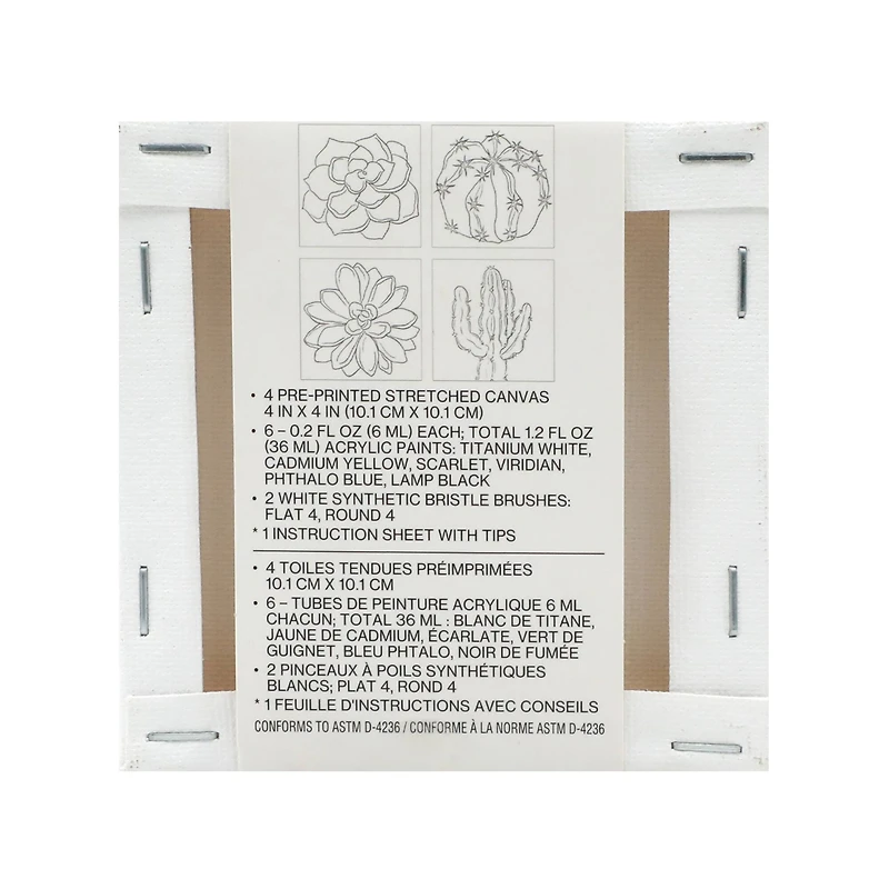 Cactus Mini Canvas Painting Kit by Craft Smart®