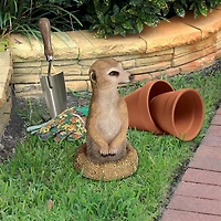 Design Toscano 9.5" Hole in One Meerkat Garden Statue