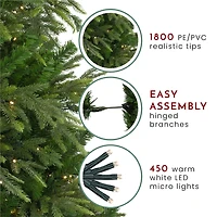 7.5ft. Pre-Lit Roosevelt Fir Artificial Christmas Tree, Warm White LED Lights