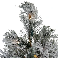 4.5ft. Pre-Lit Black Spruce Artificial Christmas Tree, Clear LED Lights