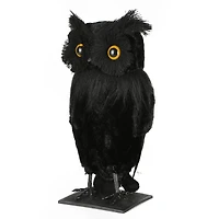 11'' Eerie Eyes Owl Halloween Décor