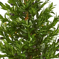 3.5ft. Olive Cone Topiary Tree in White Planter