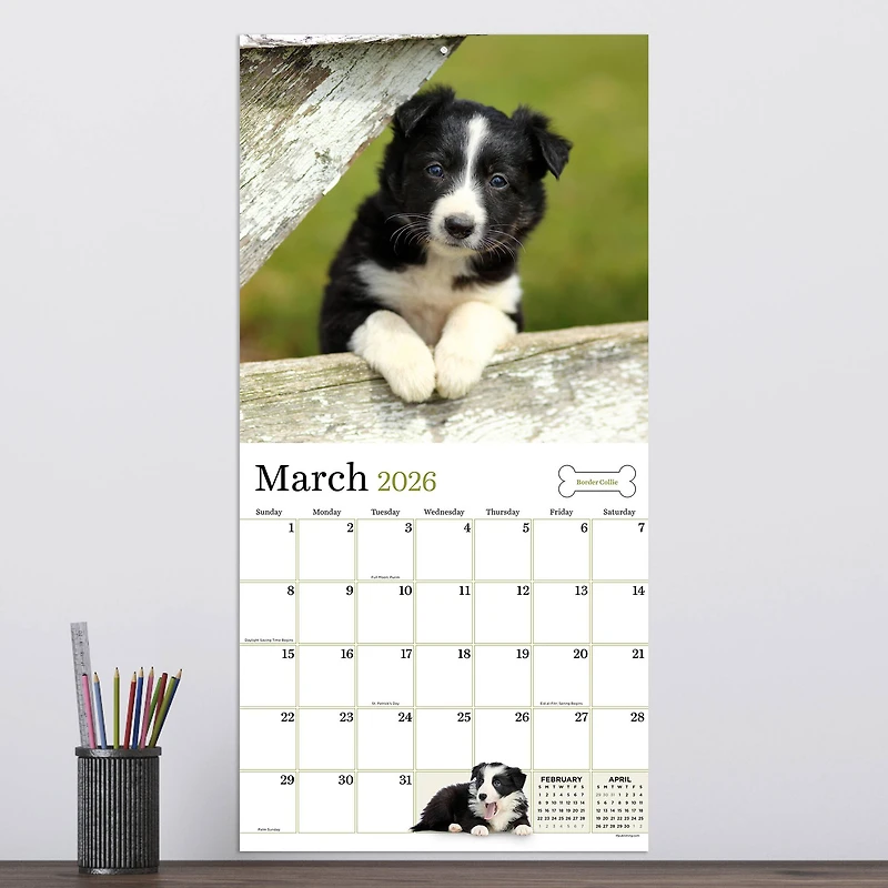 2026 Puppies Wall Calendar