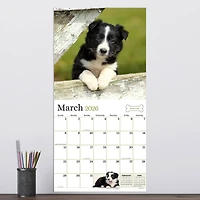 2026 Puppies Wall Calendar