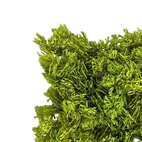 5" Faux Moss Mat by Ashland®