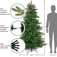 6.5ft. Pre-Lit Hudson Fir Full Artificial Christmas Tree, Warm White LED Lights