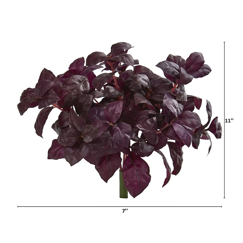 Burgundy Basil Bush, 6ct.