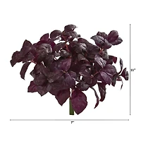 Burgundy Basil Bush, 6ct.