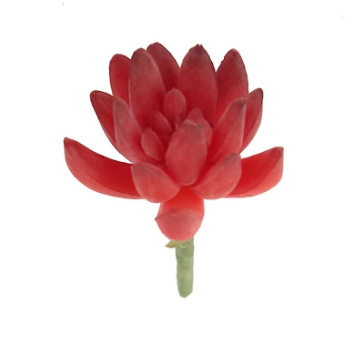 Flora Bunda® Red Small Little Gem Succulent Pick, 12ct.