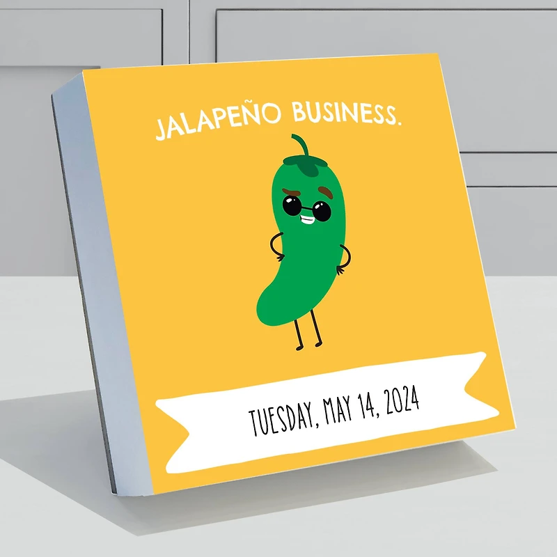 TF Publishing 2024 Puns of Fun Daily Desktop Calendar