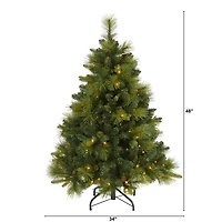 4ft. Pre-Lit North Carolina Mixed Pine Artificial Christmas Tree, Warm White LED Lights