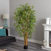 6ft. Potted Japanese Bamboo Tree
