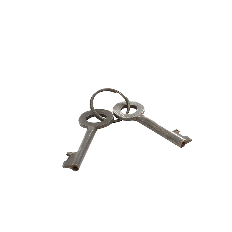 Grey Metal Industrial Lock and Key, 2" x 4" x 2"