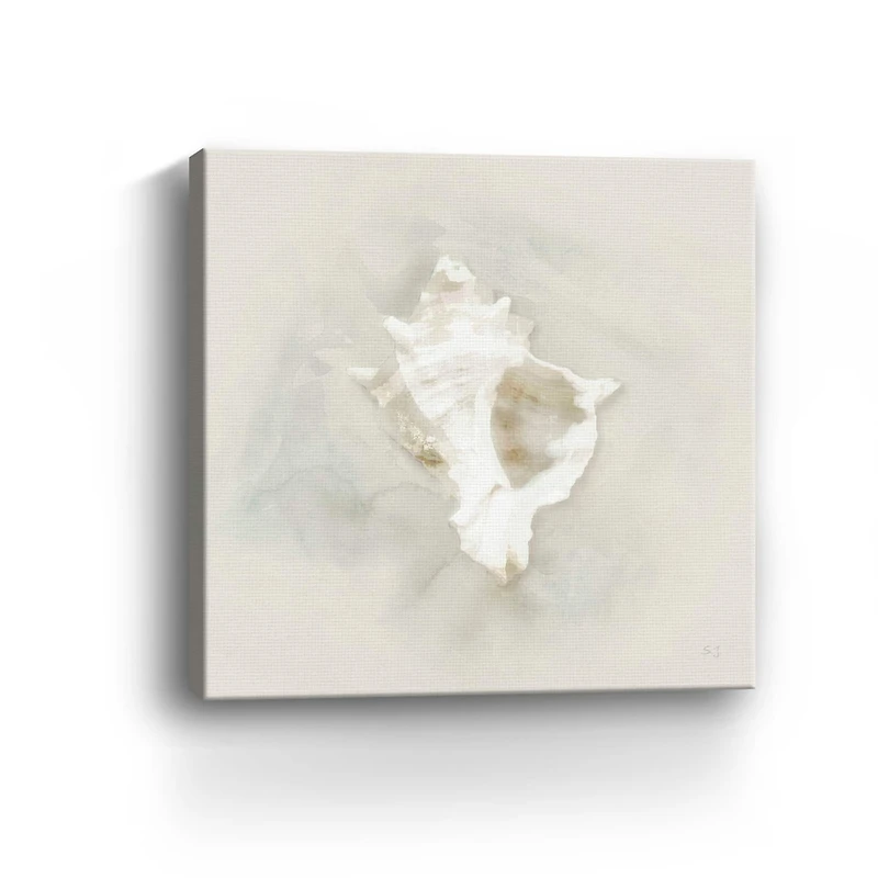 Soft Sand and Shell I Canvas Giclee