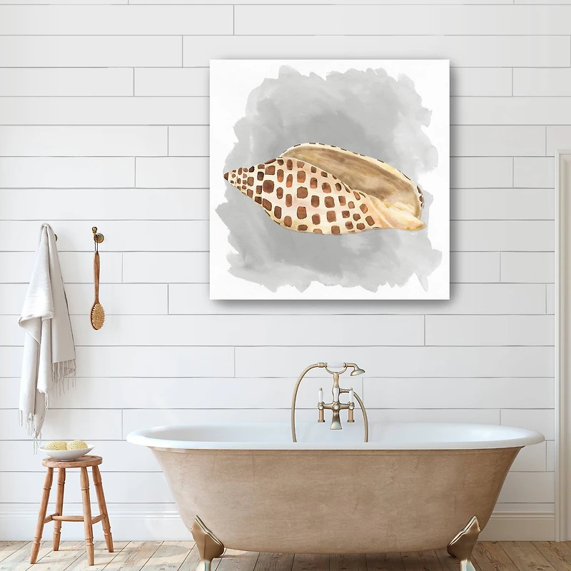 Shells On Grey I Canvas Giclee