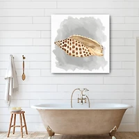 Shells On Grey I Canvas Giclee
