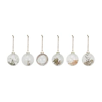 Hello Honey® 3.25" Dried Botanicals Round Glass Ball Ornament Set