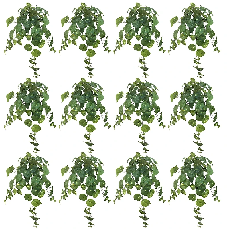 12 Pack: Hanging Philo Bush by Ashland®