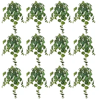 12 Pack: Hanging Philo Bush by Ashland®