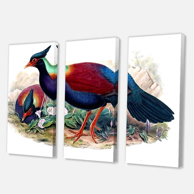 Designart - Vintage Birds In The Wild II