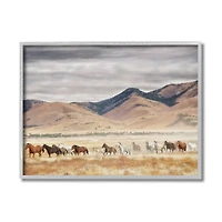 Stupell Industries Wild Horses Roaming Across Western Landscape in Gray Frame Wall Art