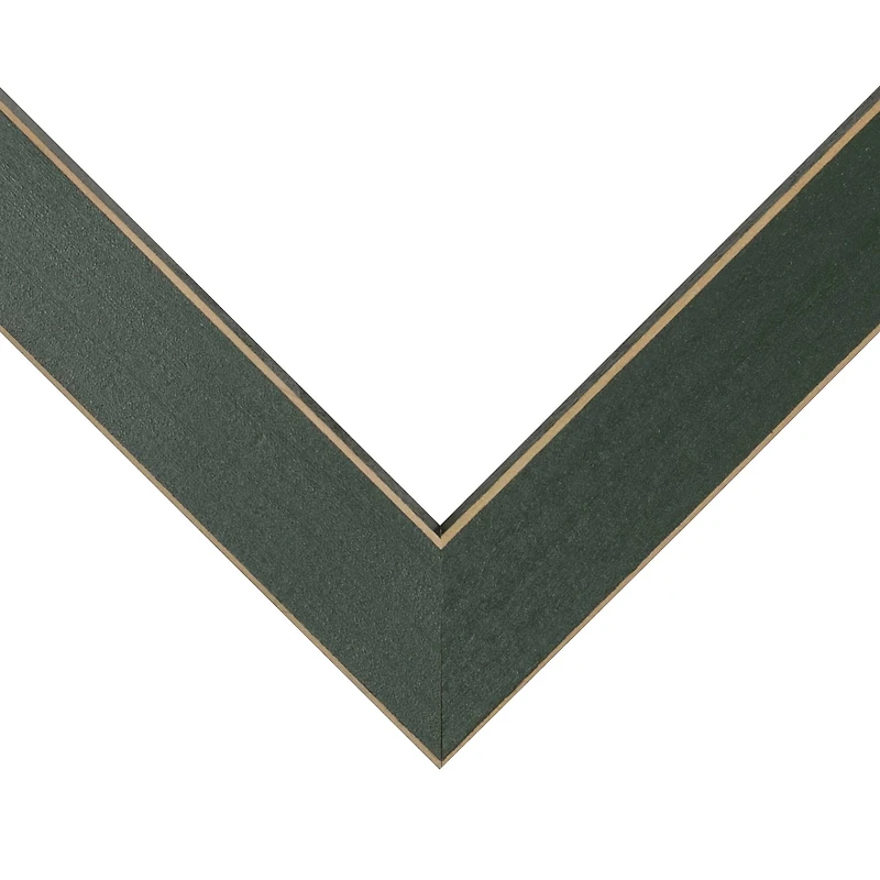 Frame USA Clean Cut Green Single Image Picture Frame