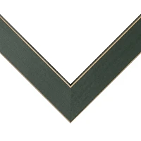 Frame USA Clean Cut Green Single Image Picture Frame