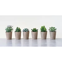Hello Honey® Faux Succulent In Paper Pot Set, 6ct.