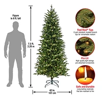 7.5ft. Pre-Lit Wallace Pine Artificial Christmas Tree, Warm White LED Lights