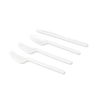 40 Piece Plant-Based Plastic Cutlery Set by Celebrate It™