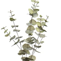 38" Light Green Eucalyptus Stem by Ashland®