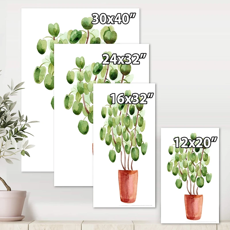 Designart - Chinese Money Plant In Pot
