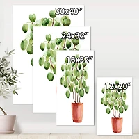 Designart - Chinese Money Plant In Pot