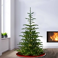 6.5ft. Pre-Lit Feel-Real® Norwegian Spruce Artificial Christmas Tree, Clear Lights