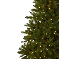 7.5ft. Pre-Lit Windermere Christmas Tree, Clear Lights