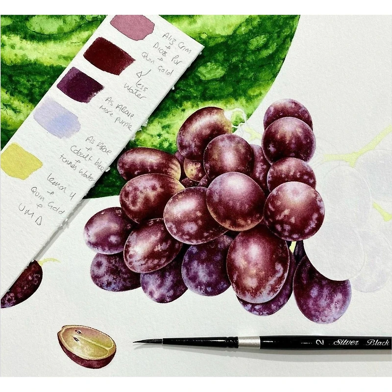 Silver Brush Limited Black Velvet® Round Brushes Set