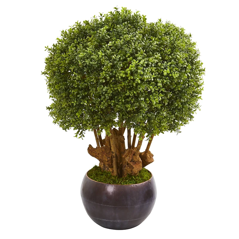 3.2ft. Boxwood Topiary Tree in Decorative Bowl