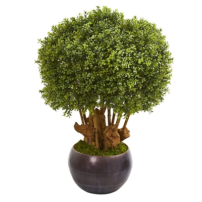 3.2ft. Boxwood Topiary Tree in Decorative Bowl