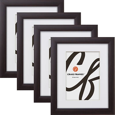 Craig Frames 4 Pack: Contemporary Brazilian Walnut Picture Frame with Mat
