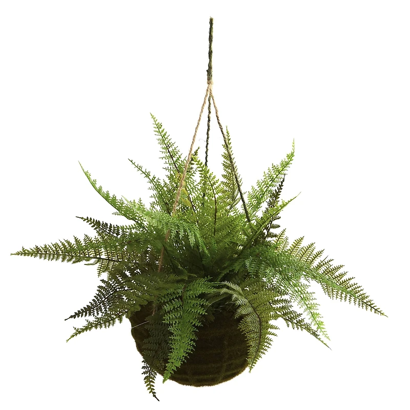 13'' Leather Fern in Mossy Hanging Basket, 2ct.