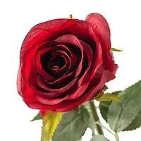 Red Dutch Rose Spray by Ashland®